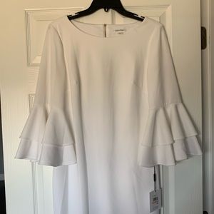 NWT Calvin Klein Sheath Dress Ruffle Sleeves- Size 10